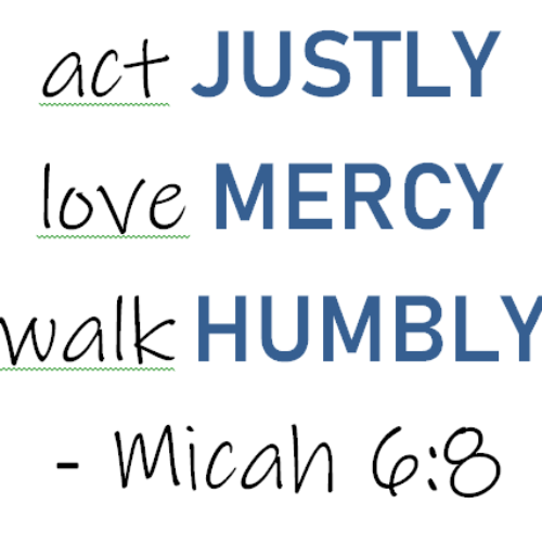 What is a Mercy School?