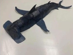 hammerhead shark paper mache